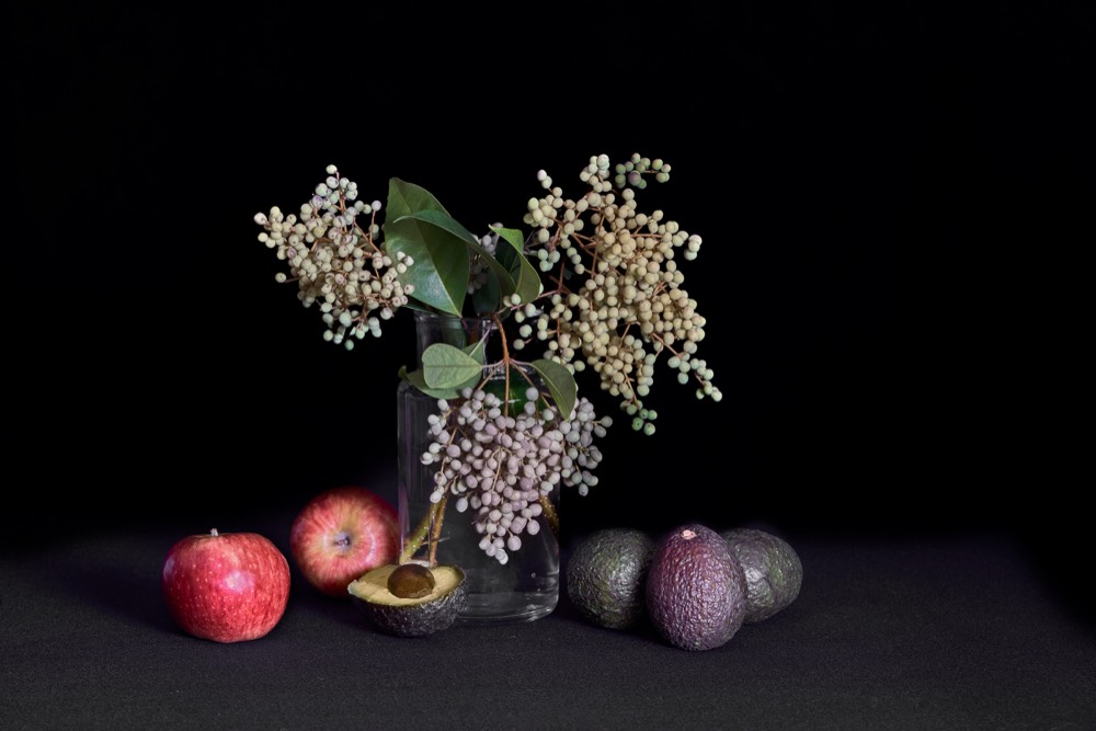 Frutas y Plantas